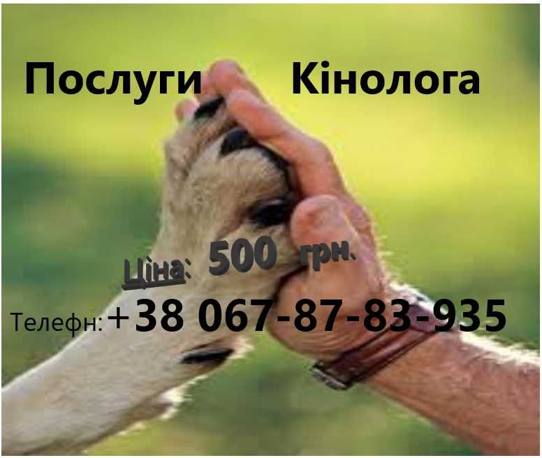 Кінолог Проведу заняття з вашою собачкою Житомир