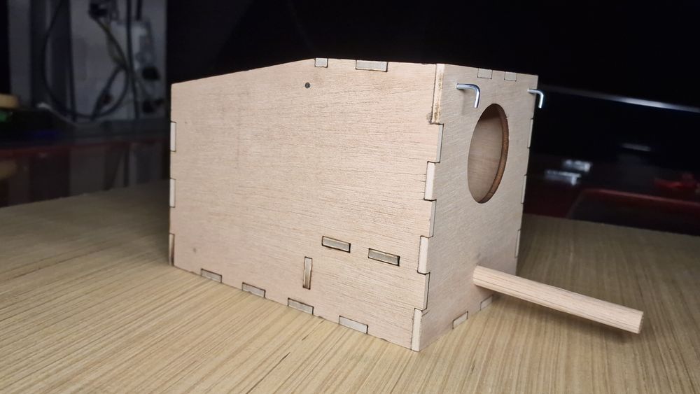 Ninhos de qualidade para diamante gold