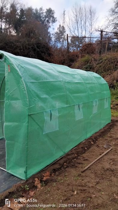 Estufa, hortaliças, plantas