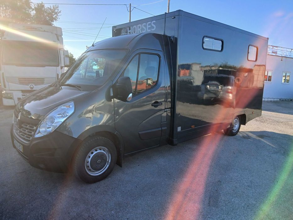 Renault Master transporte de cavalos