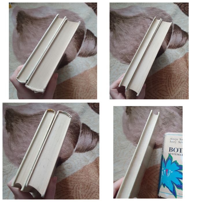 Botanika morfologia systematyka