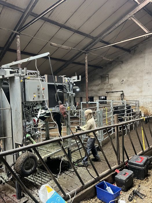 HoofCare Korekcja racic u bydła