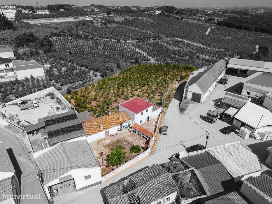 2 Moradias num terreno de 6117m2 | Carvalhal | Bombarral