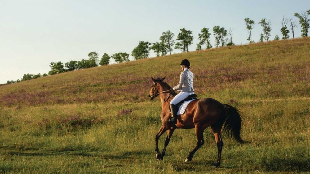 Видова вілла у Лісниках. 250м2. Тераса 50 м2. Гараж 2+2