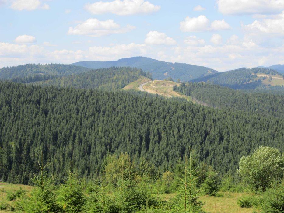 Продаж ексклюзивної земельної ділянки 2 Га в Карпатах із панорамою на Говерлу та Петрос