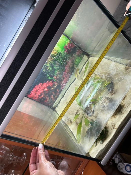 Aquario com móvel incluído
