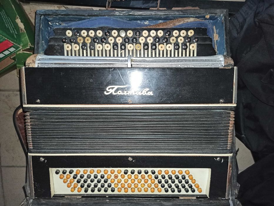 akordeon HOHNER Ełk STUDENT IVM 32 basy