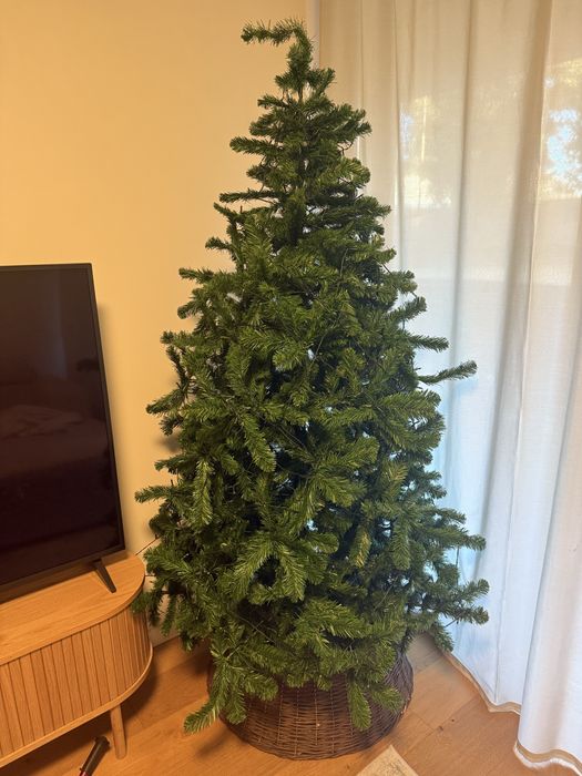 Arvore de natal 2.40