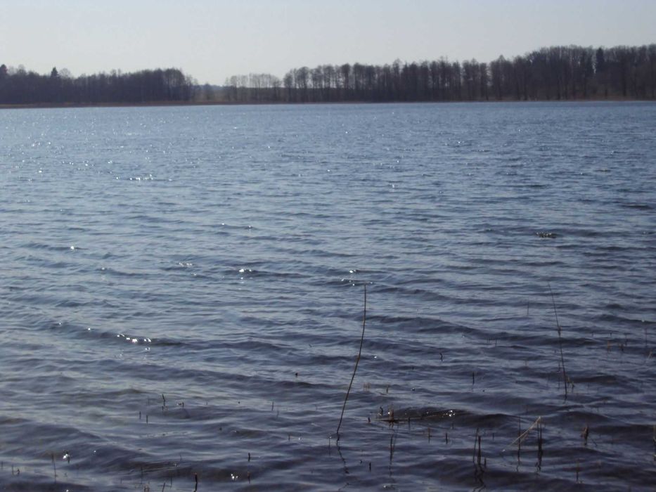 Dom na Mazurach-Martiany