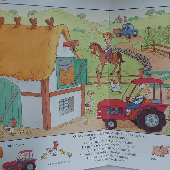Minidicionário ilustrado