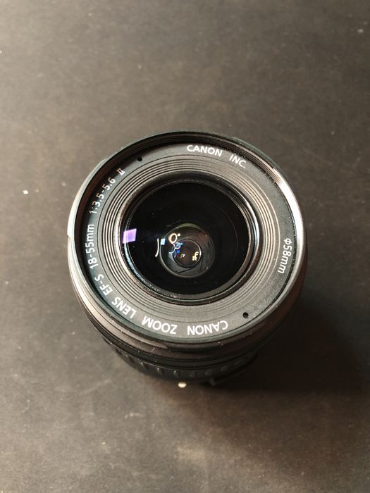 Canon 80D + CANON EFS 18-55mm f/3.5-5.6 + Canon EF 50mm f/1.8