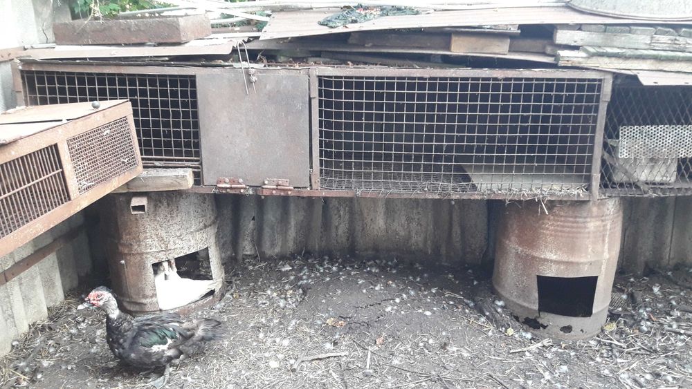 Клетки металические для содержания разних видов животних.