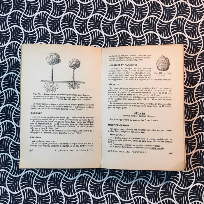 Fleurs, Fruits, Légumes - J. M. Duvernay et A. Perrichon