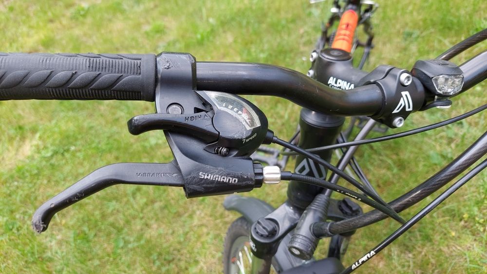 Rower Alpina ECO 20 M