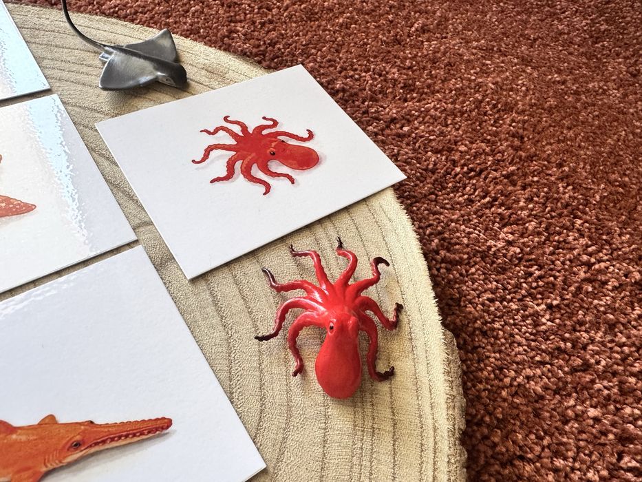 Animais do fundo do Mar - Montessori
