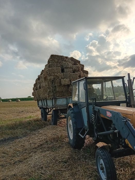 Słoma i siano mała kostka