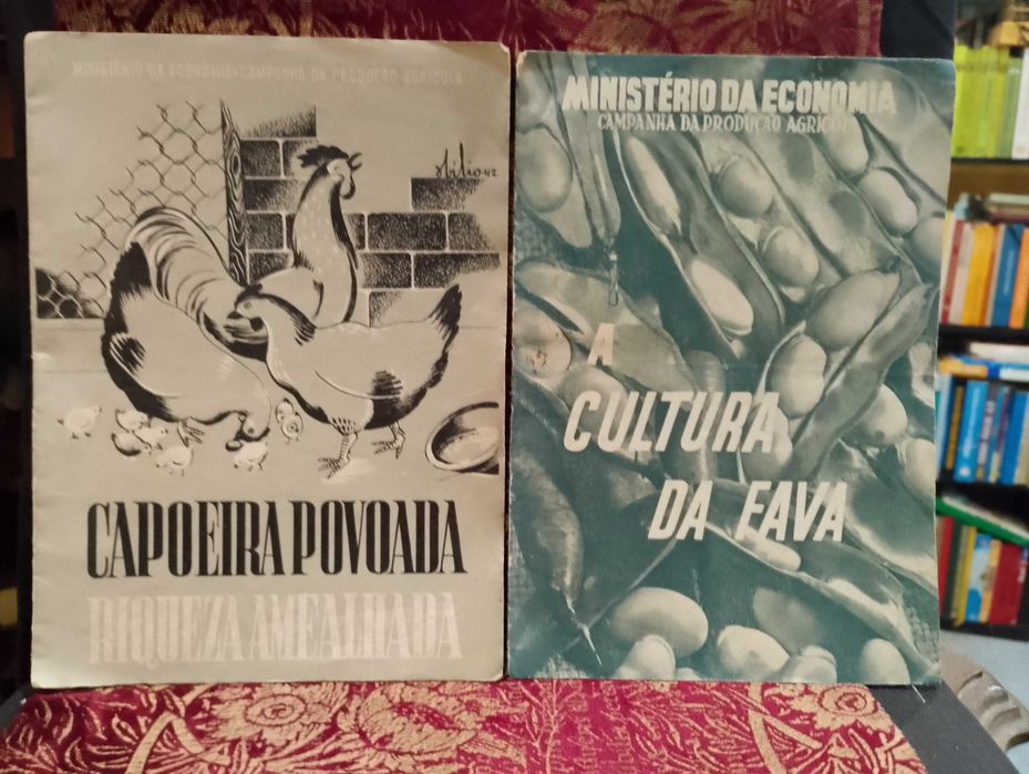 Campanha da Produção Agrícola - Capoeira Povoada / Cultura da Fava