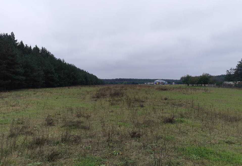Działki budowlane dobra lokalizacja, atrakcyjna cena - View 3