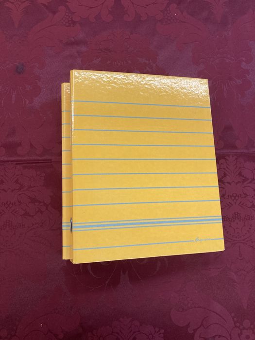 Conjunto de Duas Capas de Arquivo Pequenas