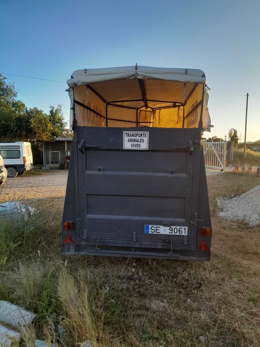 Atrelado de 2 cavalos estilo americano