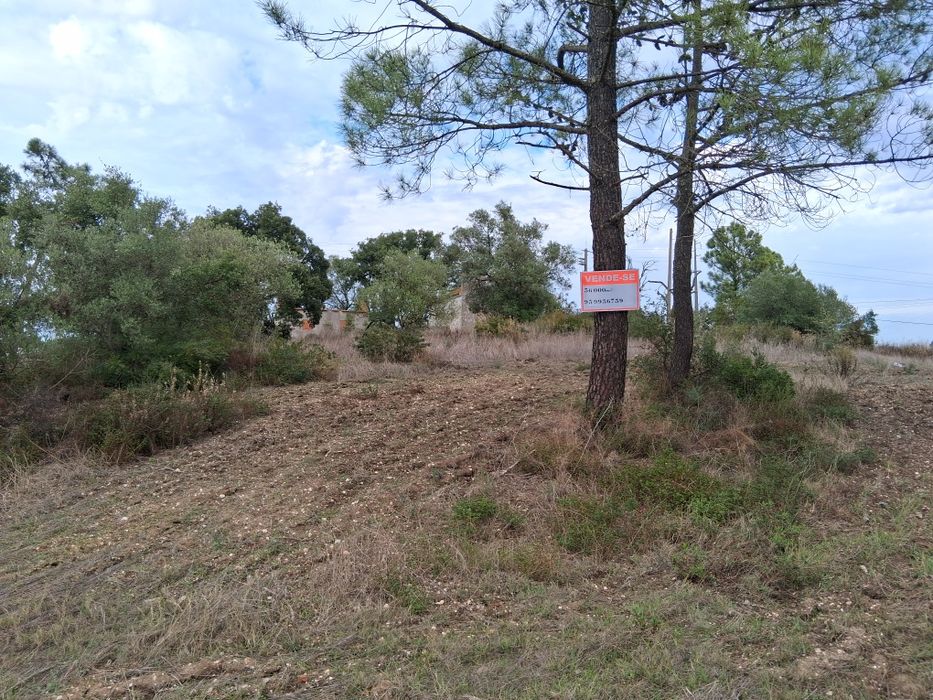 Terreno com 36.000m2