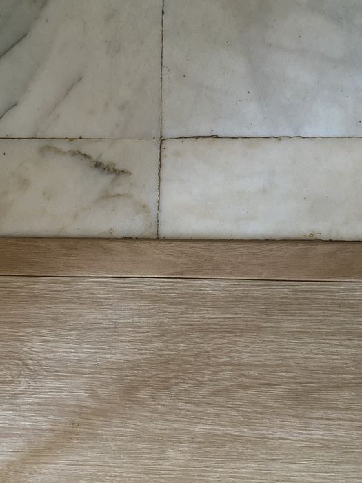 Chão de vinil autocolante carvalho mel