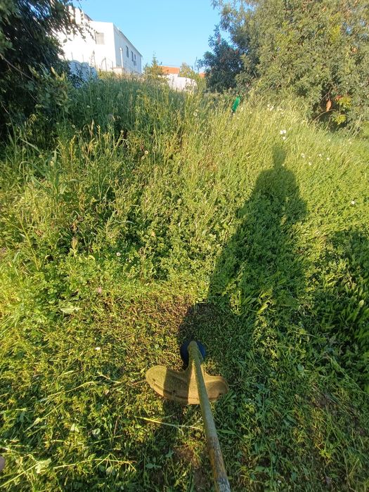 Manutenção e limpeza de terrenos