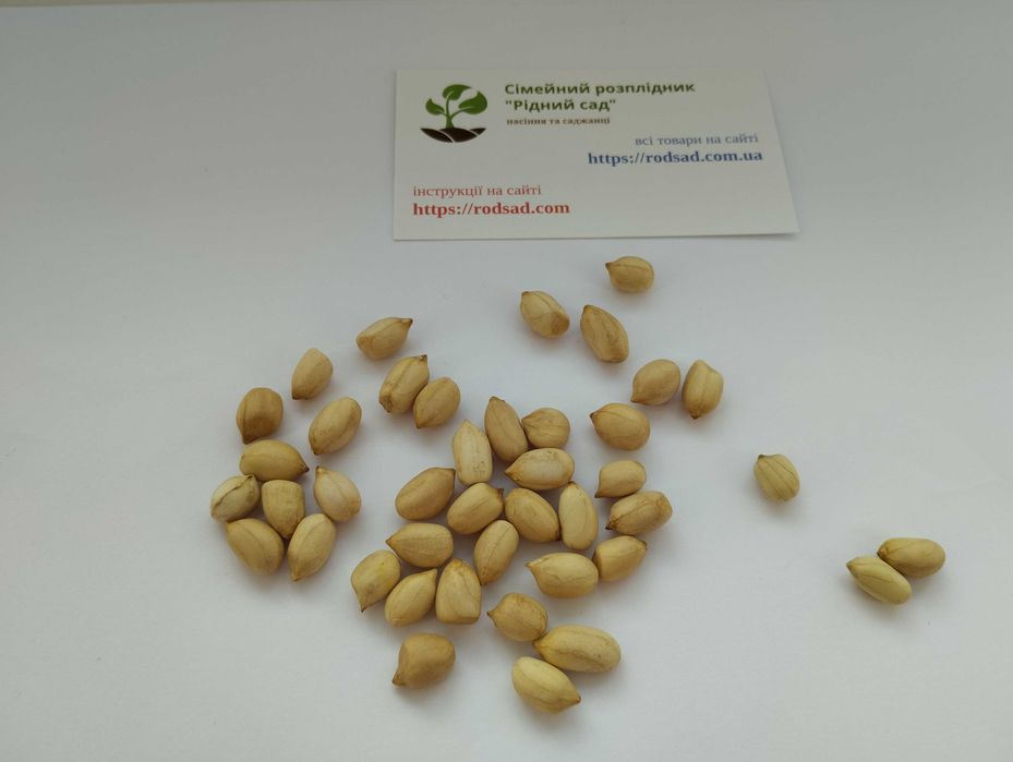 Арахіс насіння 6 сортів горіх арахис семена для вирощування в Україні