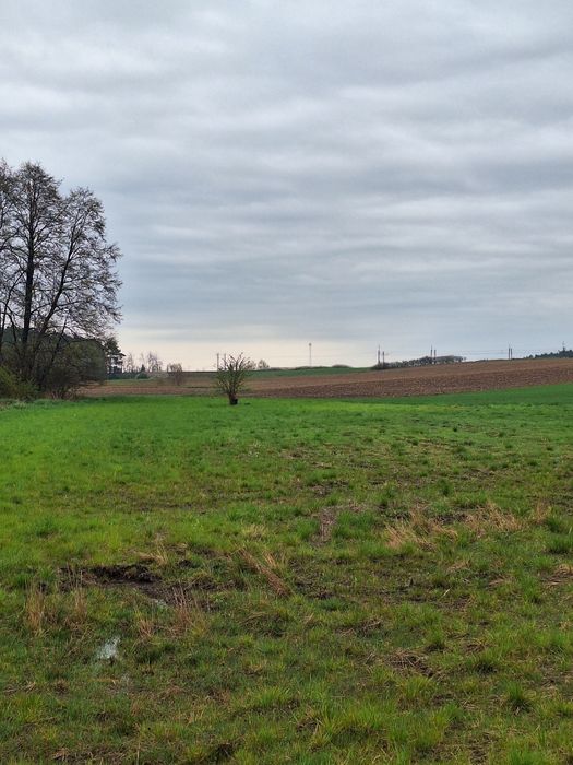 Działka Ziemia rolna Siedlisko - Widok 3