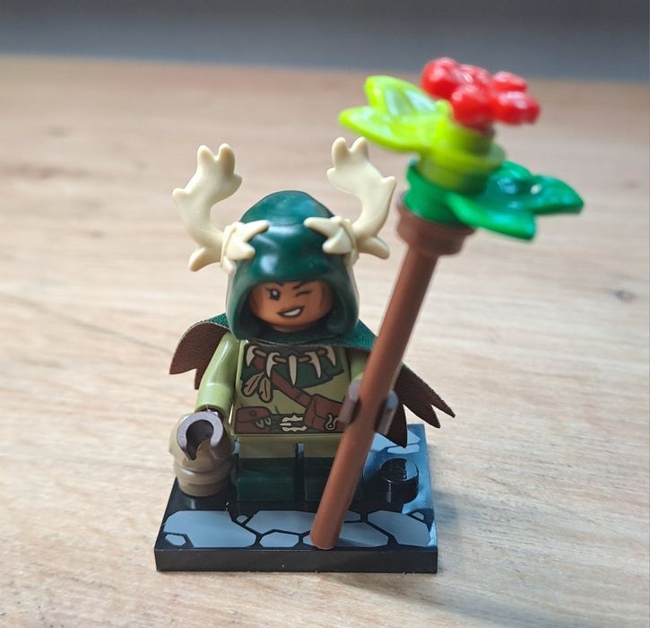 Lego Dungeons & Dragons figurki