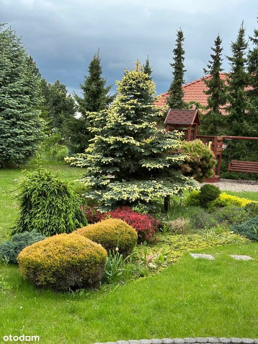 Ogród jak park a w nim piękny, eko dom dostępny od ręki Obniżka ceny