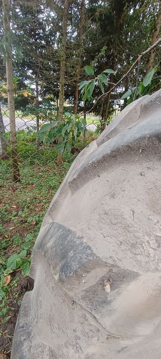 Sprzedam opona rolnicza 650/75R38 Firestone Maxi Traction 2szt