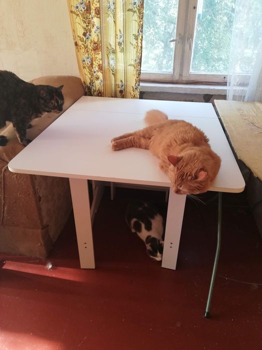 Стол книга, большой. Белого цвета.