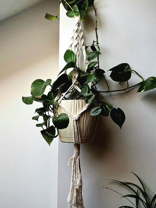 Cache-Pot: doniczka z makramy do kwiatów