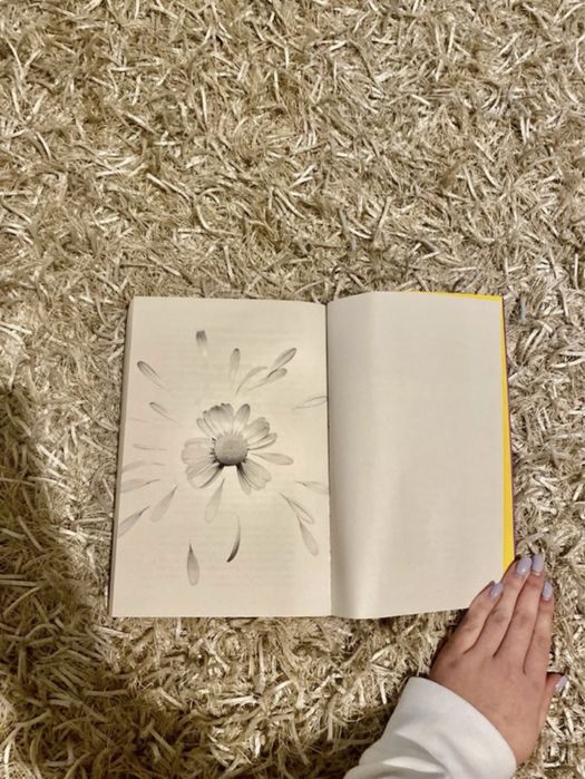 Livro: Se fosse perfeito