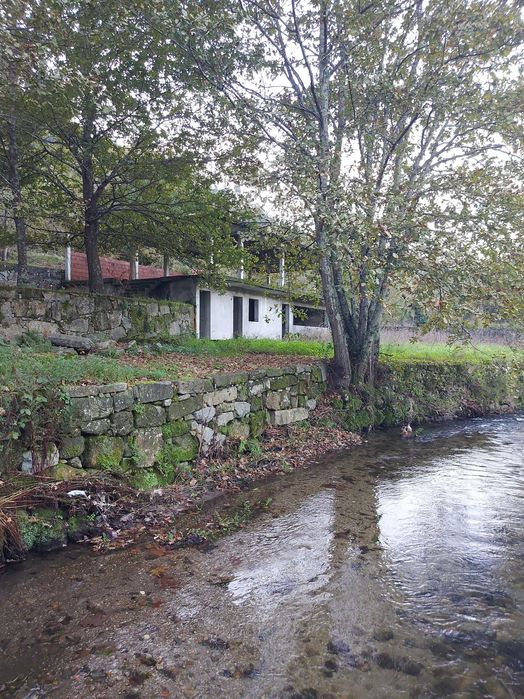 Terreno/Quinta de Lazer com 2.580 m² junto à Ribeira de Juncal | Soalhães