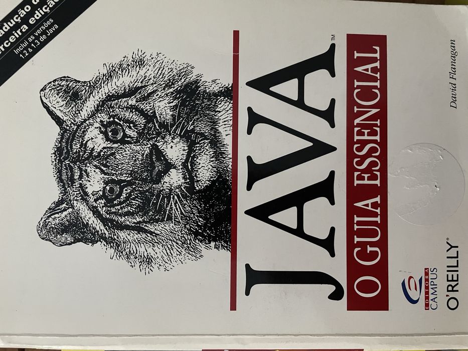 Livro Java e fundamentos da fisica