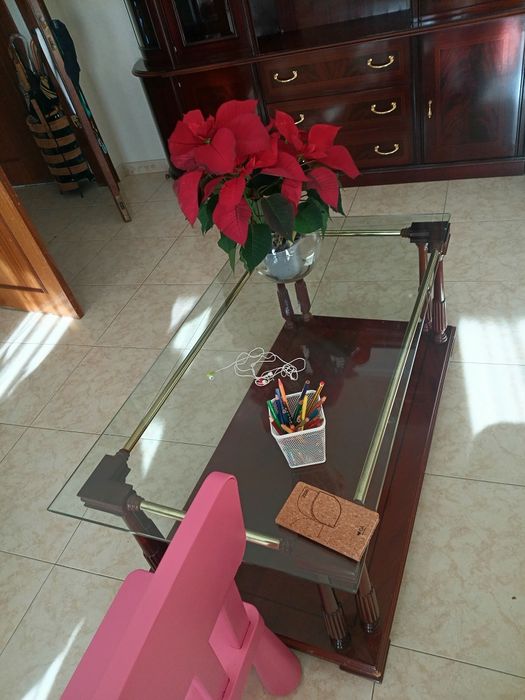 Móveis de sala usados mas em muito bom estado
