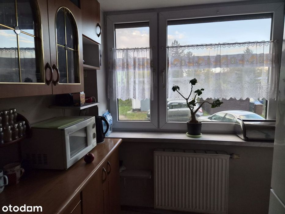 Zabrze w Centrum Południe - 3 pokoje