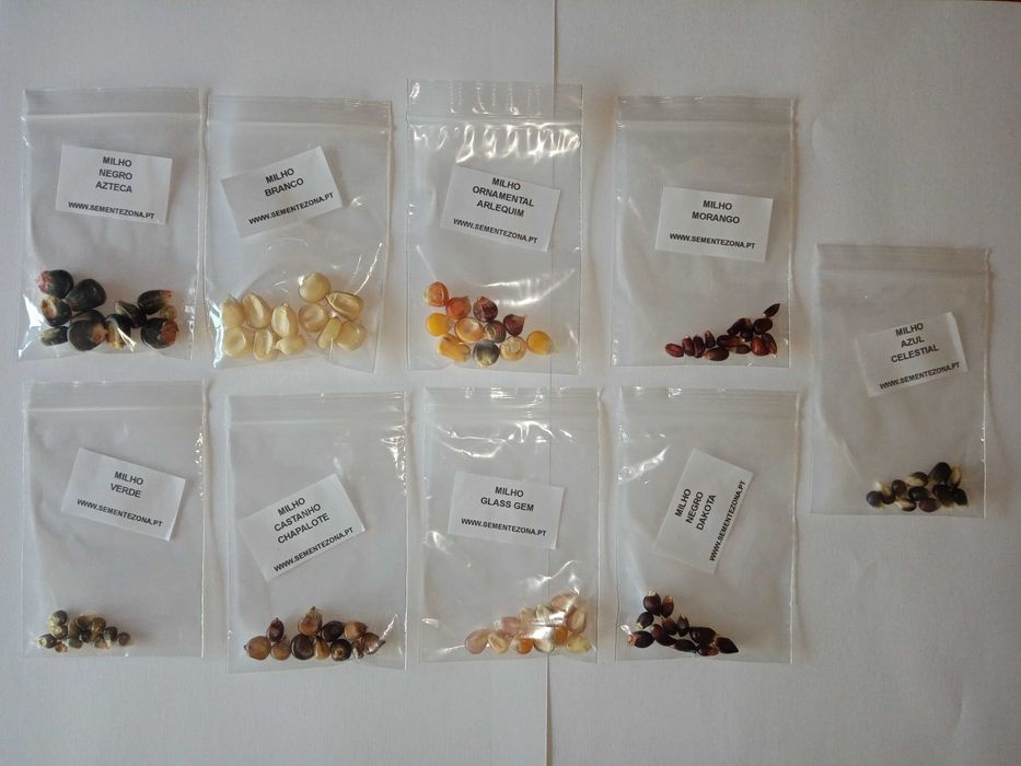 Conjunto/kit de 9 variedades de Milho (sementes)