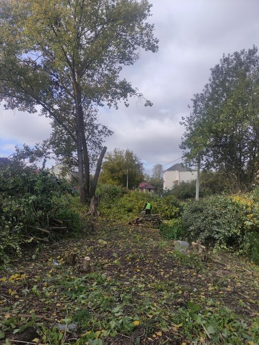 Зрізання Дерев ,Зрізка Дерев