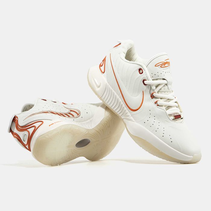 Мужские кроссовки Nike LeBron 21 "Akoya" Размеры 40-46