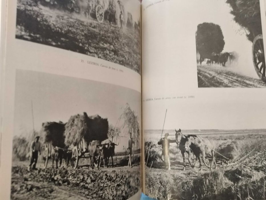 Maria Micaela Soares - A mudança na cultura rural portuguesa