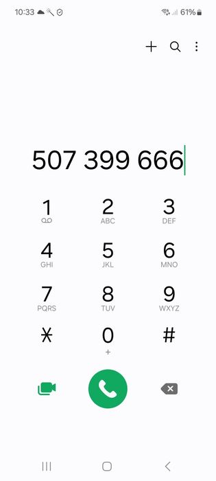 Gołębie staropolskie