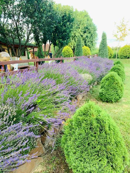 ПРОДАЖ ЕКО-КОМПЛЕКСА Piknik Park з МЕГА локацією / обмін на квартиру