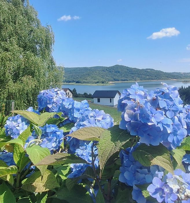 Noclegi, Jezioro Mucharskie, Energylandia, Wadowice, domek