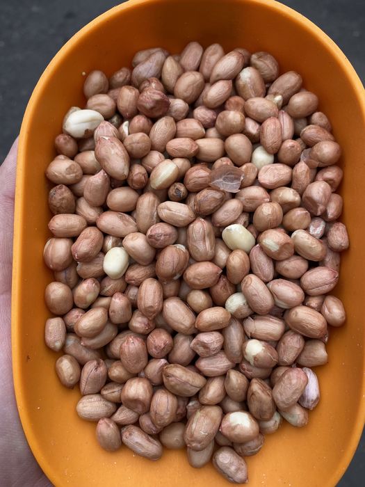 Арахис сырой неочищенный  вакууме свежая партия 2025 для жарки орехи