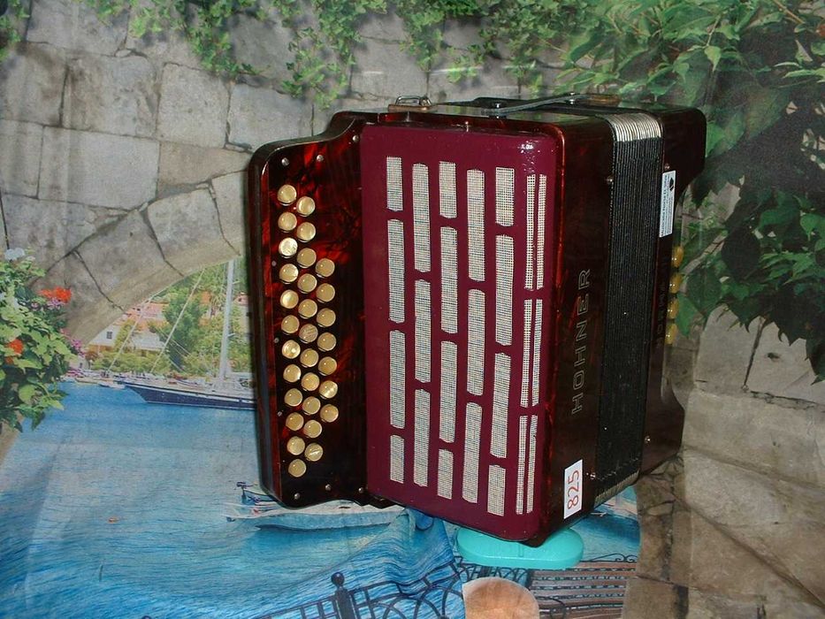 Concertina a venda n.825