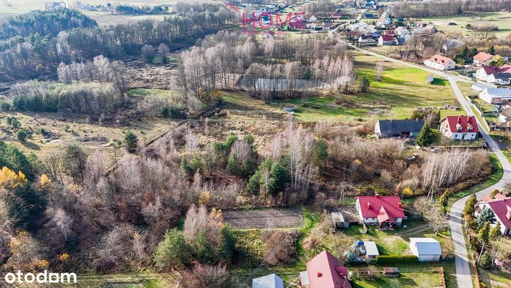 Działka w Trzęsówce- 1,51 ha