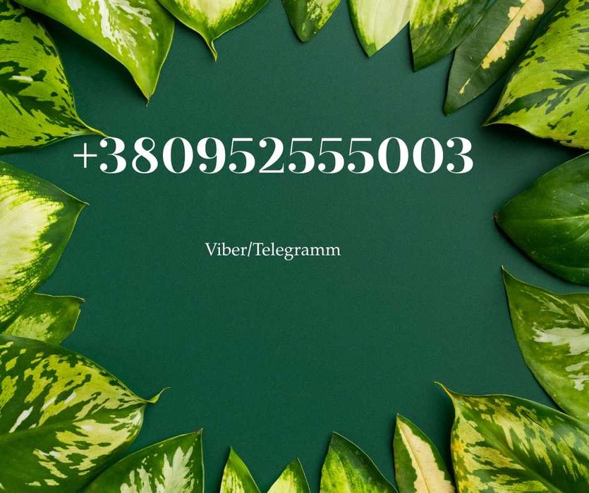 Бізнес-план під кредит 5-7-9%